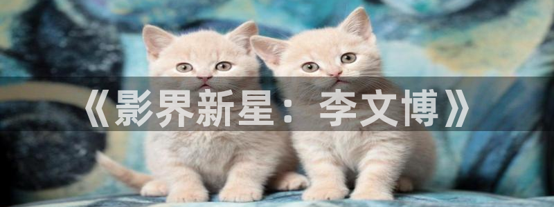 蓝莓短视频下载：《影界新星：李文博》