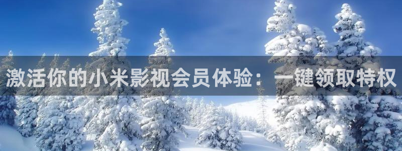 蓝莓 电影：激活你的小米影视会员体验：一键领取特权