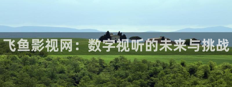www.蓝莓影院：飞鱼影视网：数字视听的未来与挑战