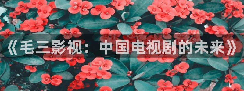 蓝莓黄网站免费蓝莓：《毛三影视：中国电视剧的未来》