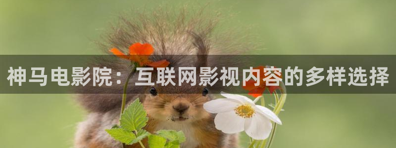 蓝莓的生长过程视频：神马电影院：互联网影视内容的多样选择