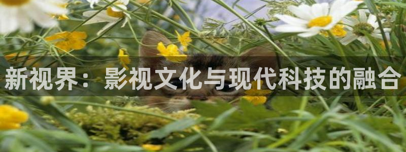 9·1蓝莓视频：新视界：影视文化与现代科技的融合