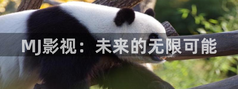 91.蓝莓视频：MJ影视：未来的无限可能