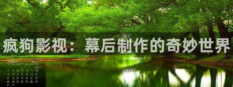 蓝莓视频播放器：疯狗影视：幕后制作的奇妙世界