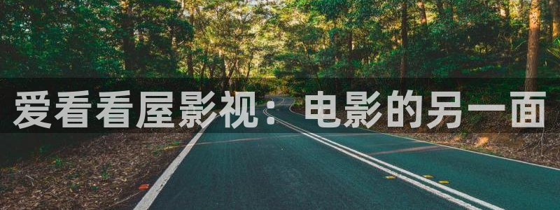 蓝莓视频色：爱看看屋影视：电影的另一面