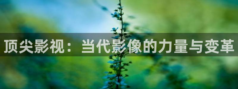 蓝莓美女视频：顶尖影视：当代影像的力量与变革