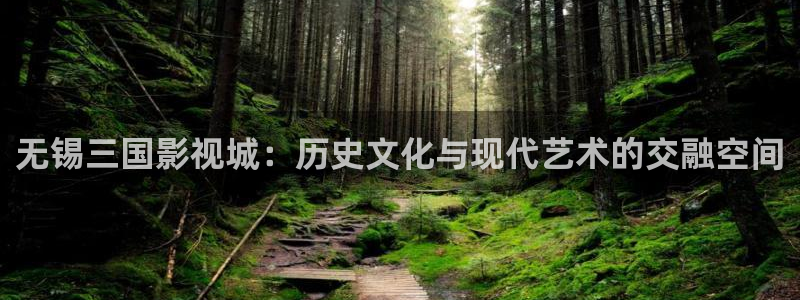 蓝莓视频免费在线看：无锡三国影视城：历史文化与现代艺术的交融空间