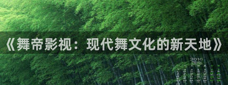 蓝莓视频在线：《舞帝影视：现代舞文化的新天地》