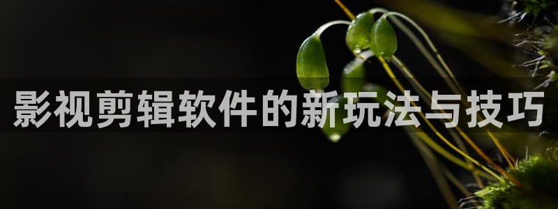 蓝莓视频在线免费观看：影视剪辑软件的新玩法与技巧