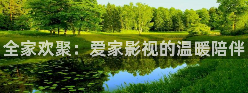 在线观看蓝莓视频：全家欢聚：爱家影视的温暖陪伴
